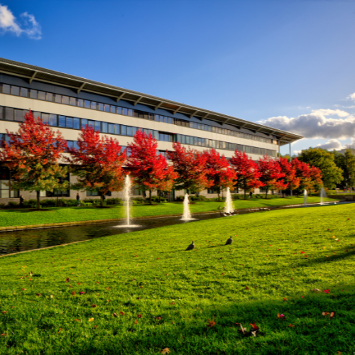 Vibrant red trees on Warwick campus