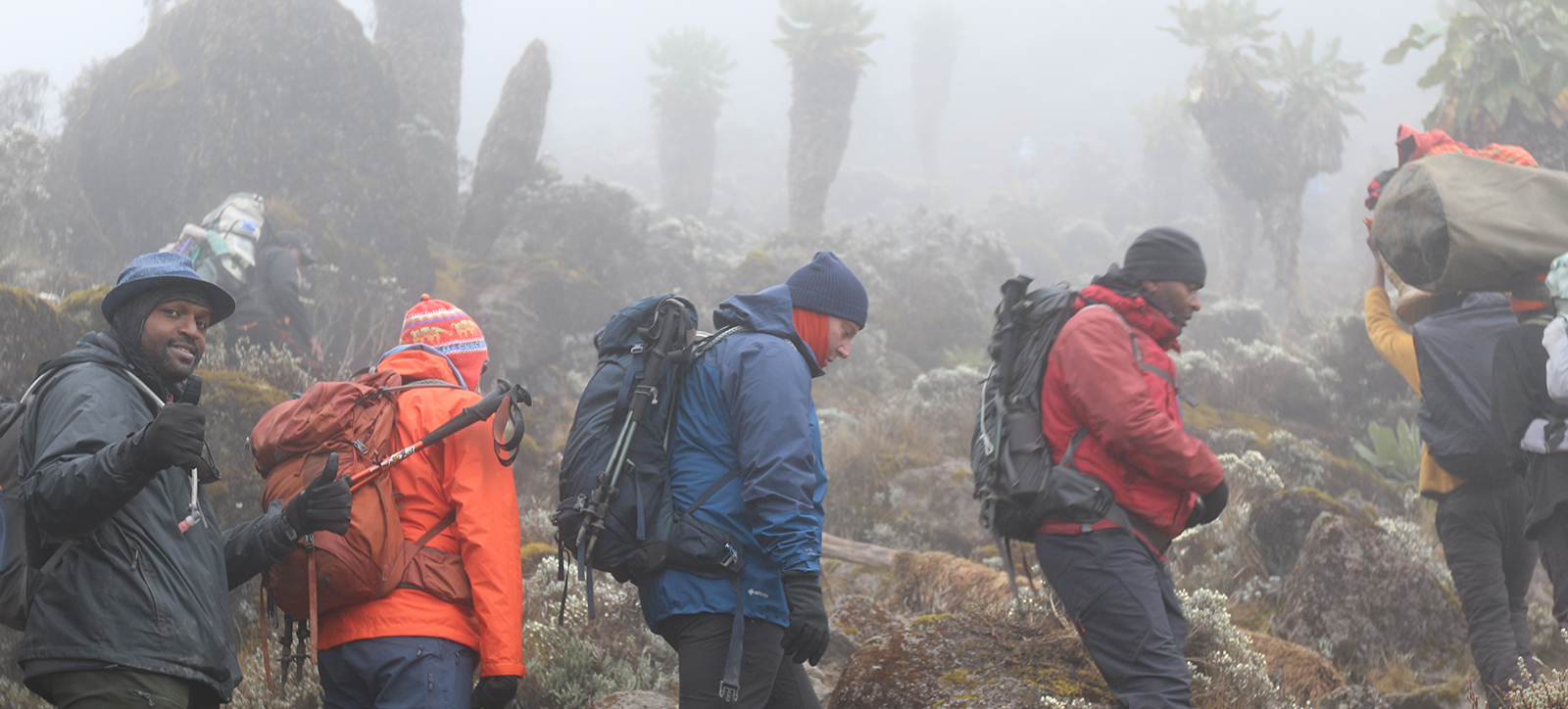 A group of WBS students climbing mountainous terrain on Mount Kilimanjaro with bags and walking equipment in their hands