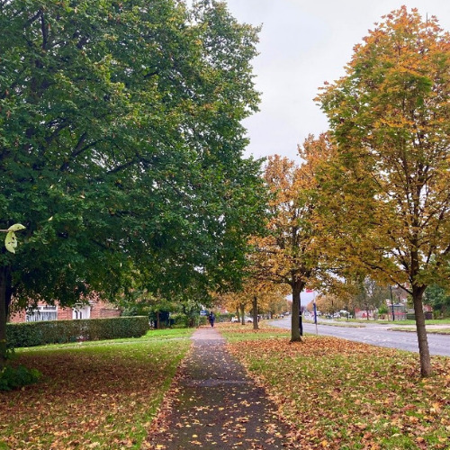 Autumn at WBS