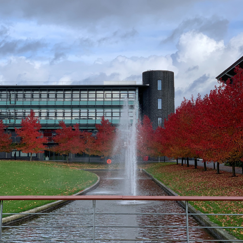 Autumn trees on campus