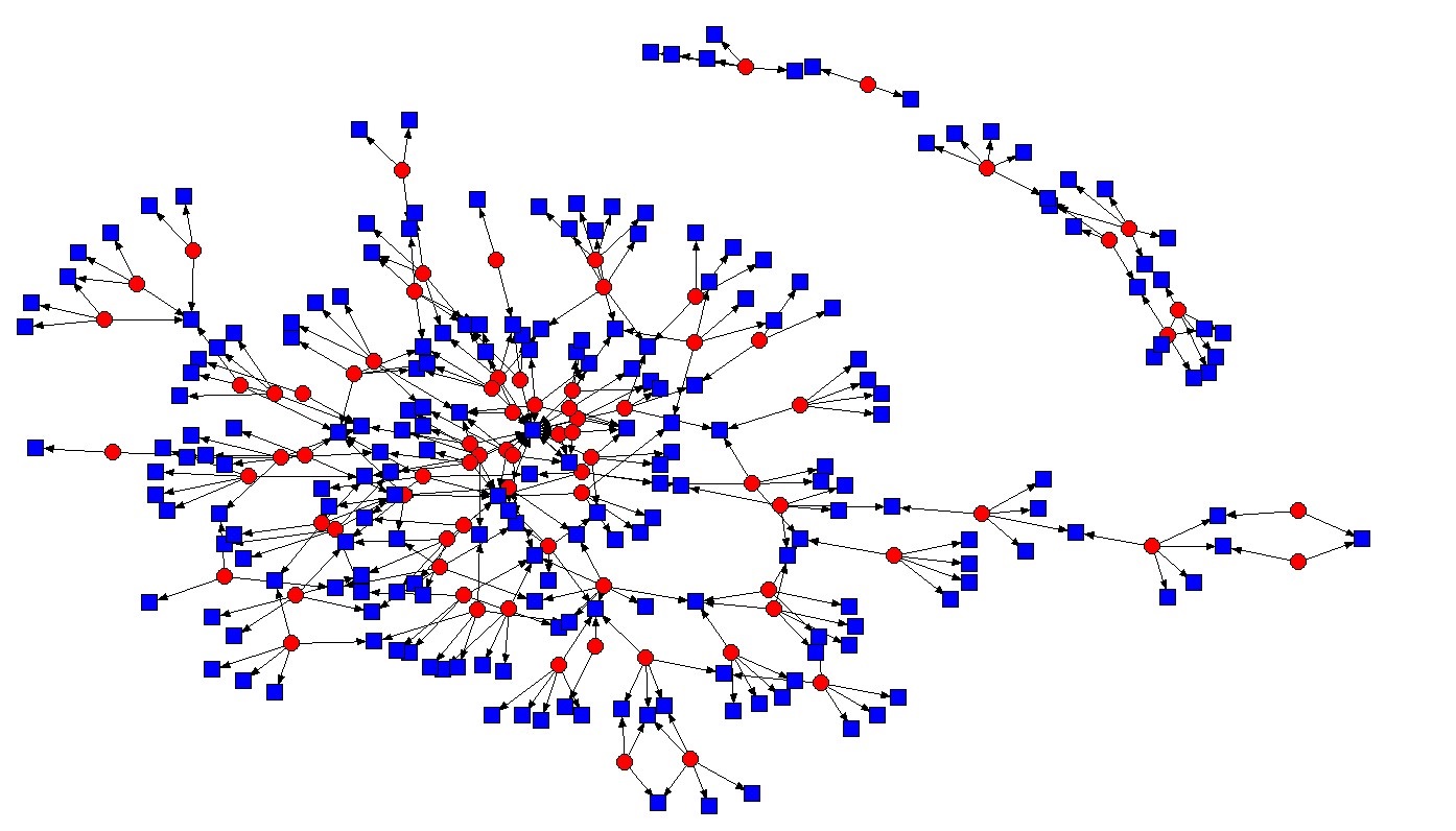 The social network of a high performing organisation