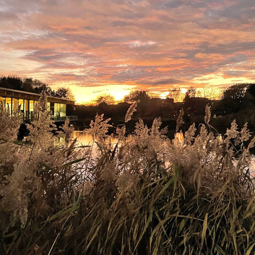 Warwick campus