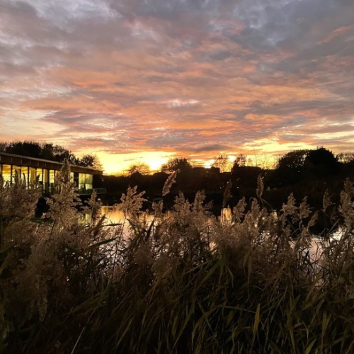 A lake beneath a sunset filled sky with pampas grass in the foreground and a building in the distance