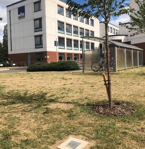 Peter Summerfield memorial trees 