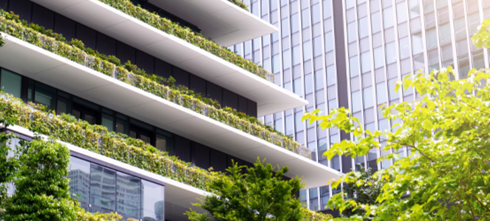 An scene of urban office buildings going green with plants planted to create a more eco-friendly environment.