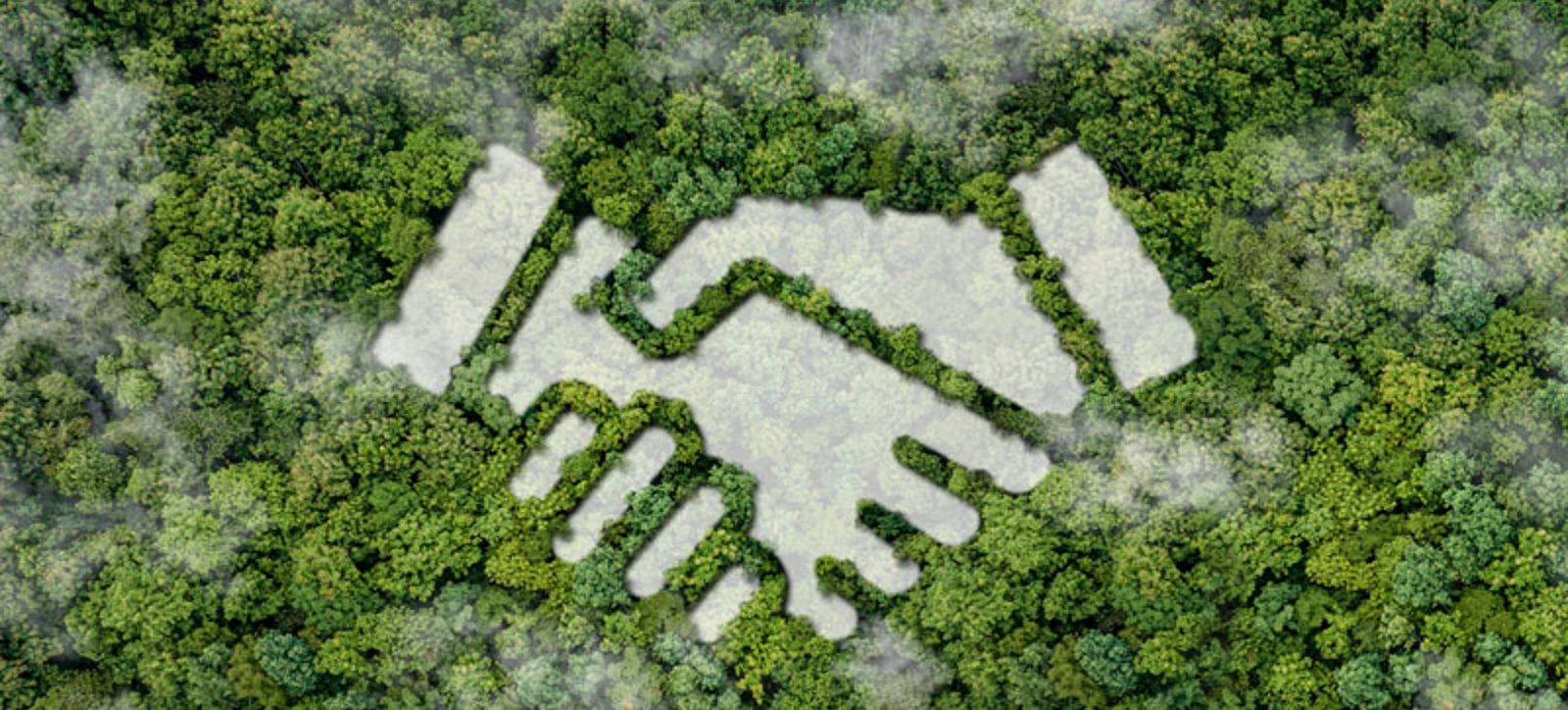 Two hands locked in a handshake, superimposed on an aerial photograph of a rainforest canopy.