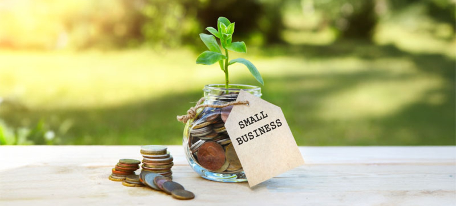 A small green plant grows out of a jar of money. There is a parcel tag on the jar that says small business. A small green plant grows out of a jar of money. There is a parcel tag on the jar that says small business.