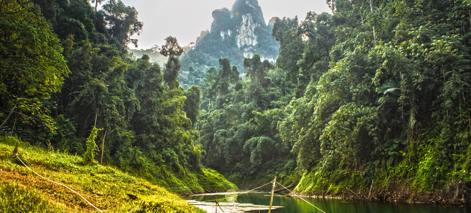 A view of a river running through a rainforest in Thailand.