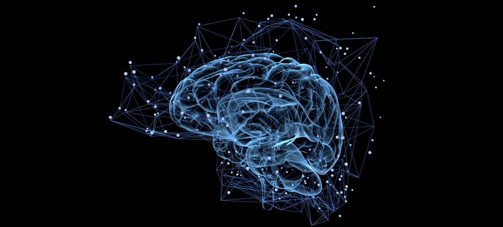 A picture of a brain A picture of a brain