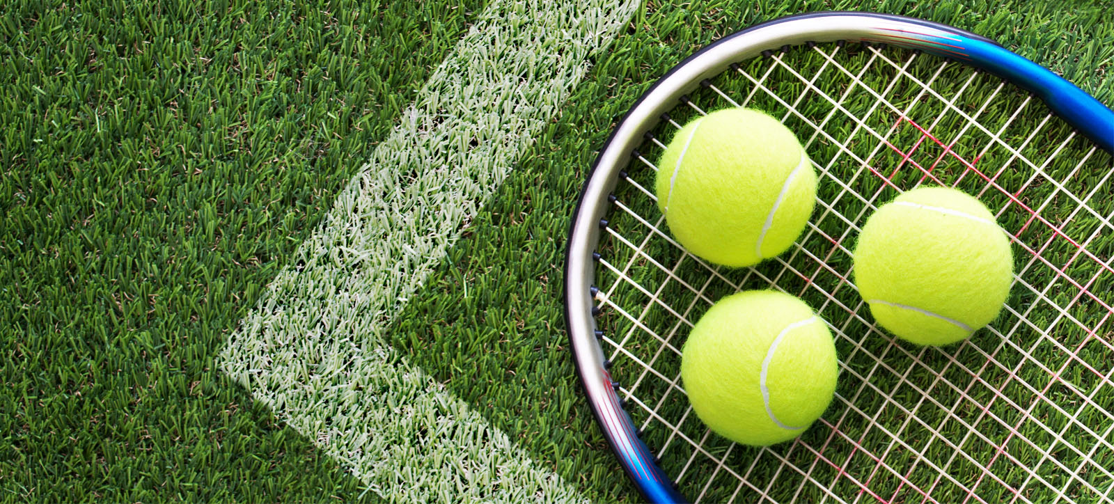 The 50,000 mile journey of Wimbledon's tennis balls