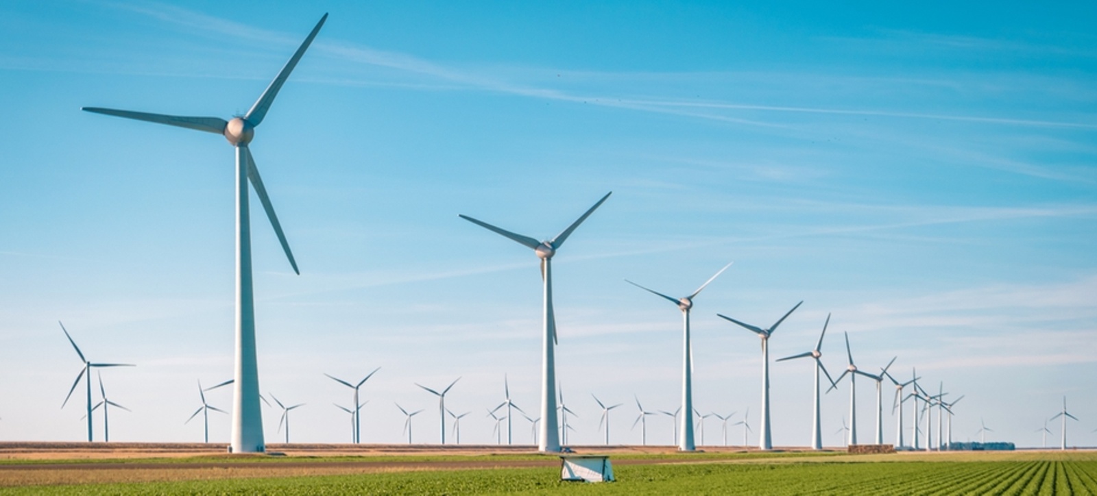 Picture of wind turbines