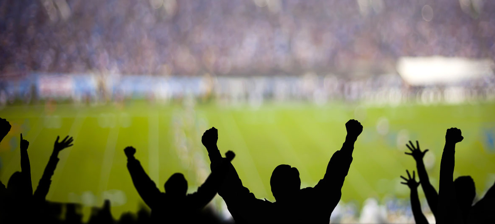 Fans celebrate at a World Cup football match