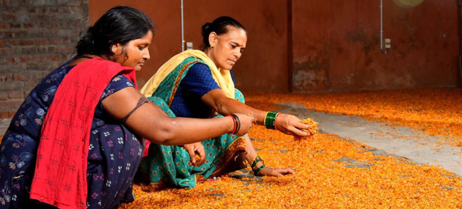 Woman who once scavenged to feed their families now sort flowers from the Ganges ready for recycling.