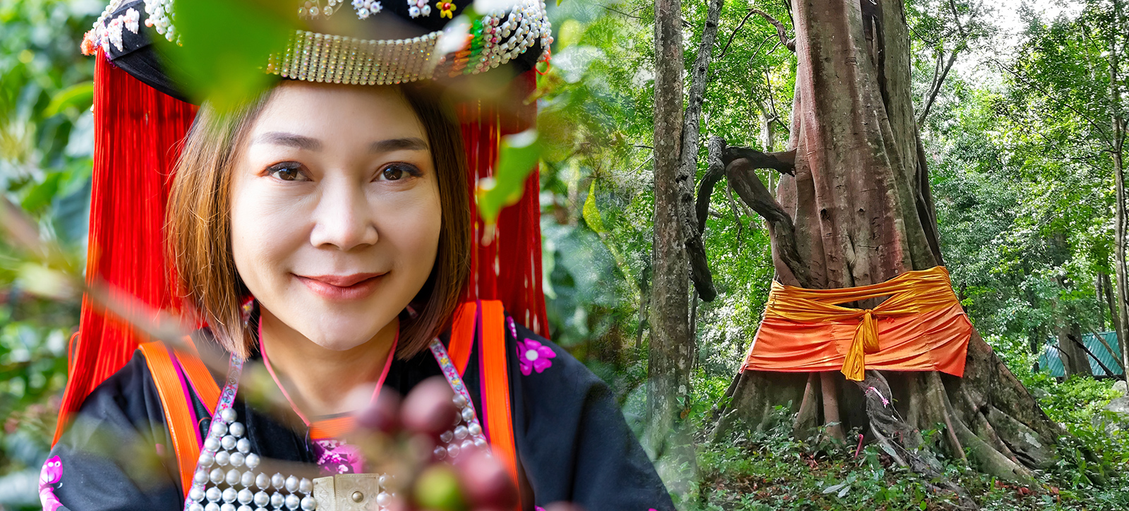 A portrait of an indigenous Thai farmer from a rainforest-dwelling community set against a backdrop of the forest, including a sacred tree with orange cloth tied around it.