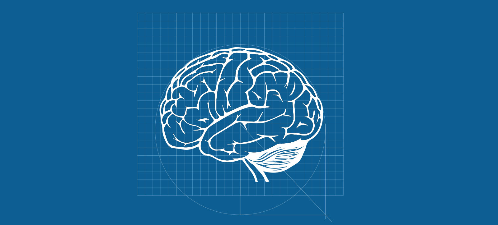 A brain depicting design thinking