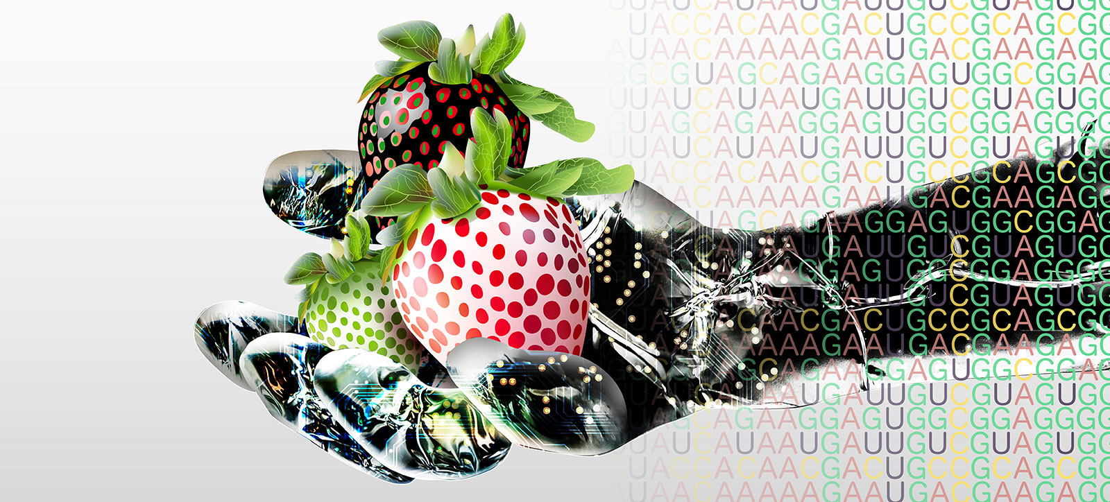 A robotic hand overlaid with colourful coding holds three incorrectly coloured strawberries. One is white with red dots, another is white with green dots, and the third is black with green dots surrounded by red circles. A robotic hand overlaid with colourful coding holds three incorrectly coloured strawberries. One is white with red dots, another is white with green dots, and the third is black with green dots surrounded by red circles.