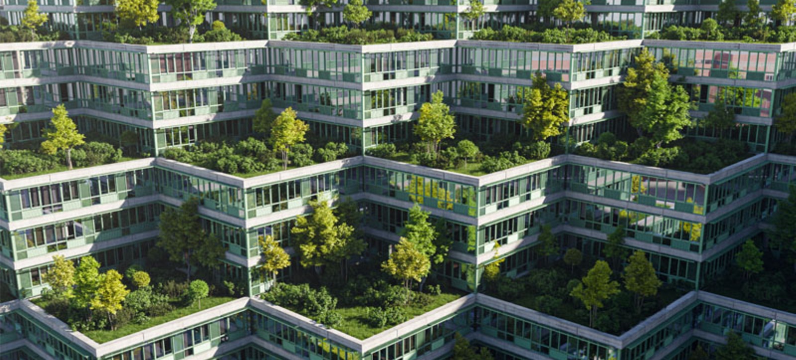 Offices with big roof gardens