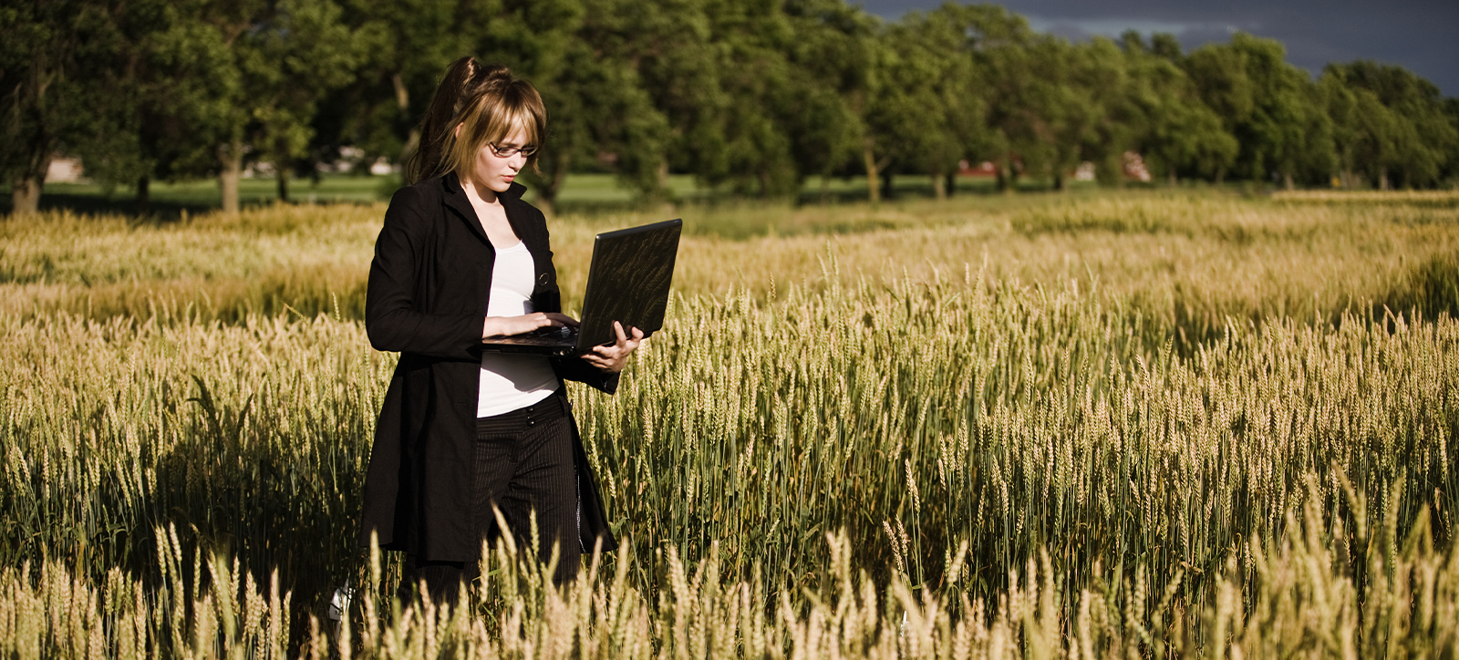 A businesswoman in smart attire walks through a rural field of crops, with trees in the background, as she stares at the screen of the laptop she is carrying. A businesswoman in smart attire walks through a rural field of crops, with trees in the background, as she stares at the screen of the laptop she is carrying.