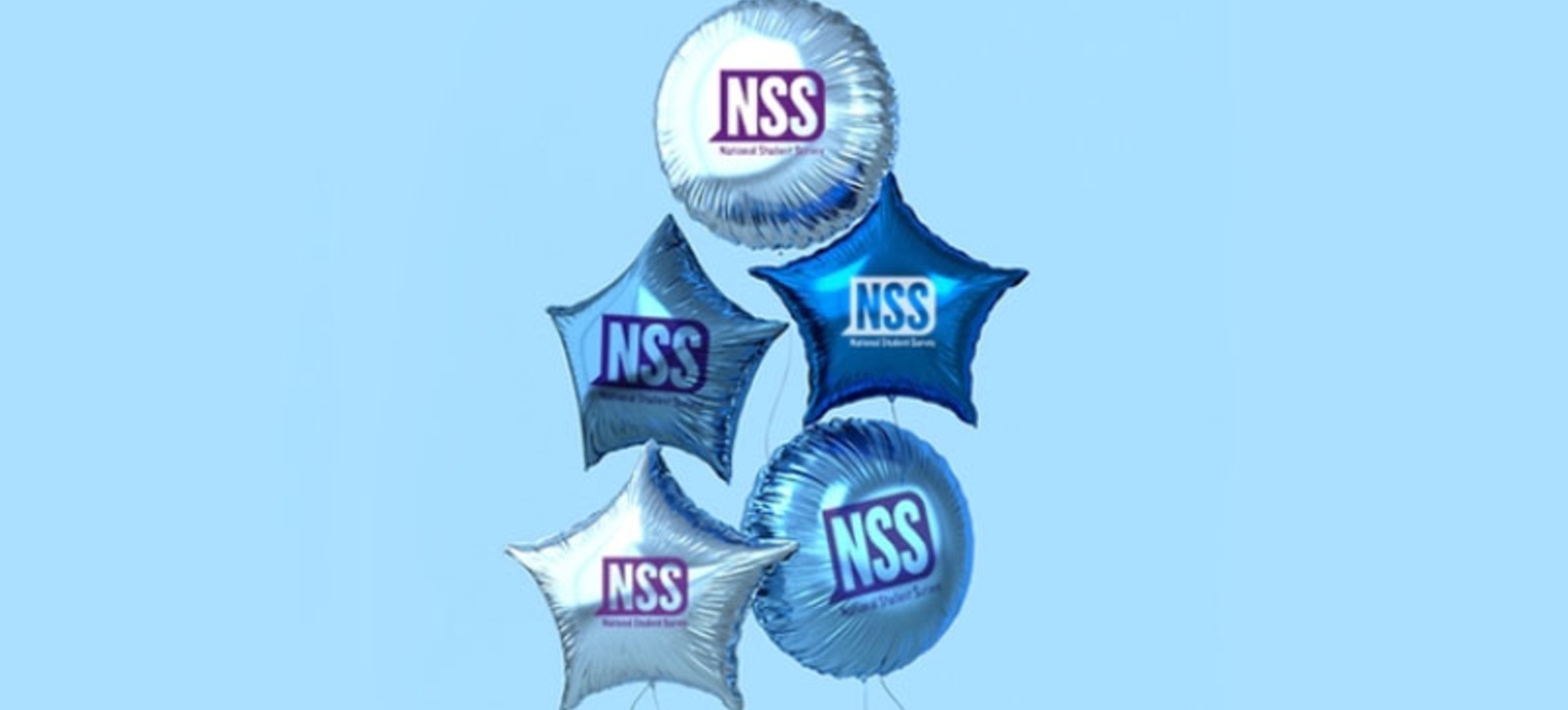 NSS Graphic