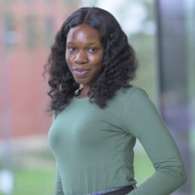 Image of Toyin Kolude